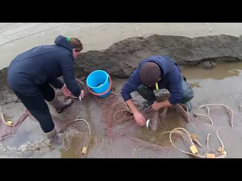 Видео: Рыбалка.Первый выезд за ряпушкой.