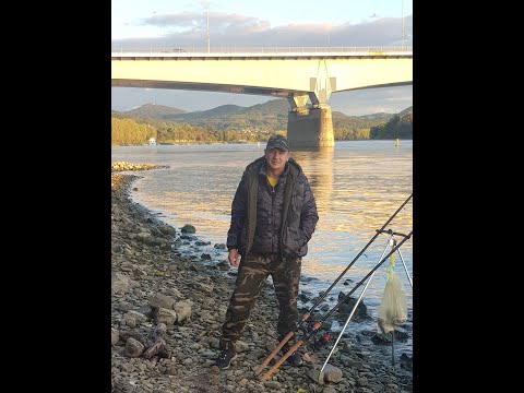 Видео: РЫБАЛКА В ГЕРМАНИИ НА РЕЙНЕ! В НЕ ПОГОДУ!