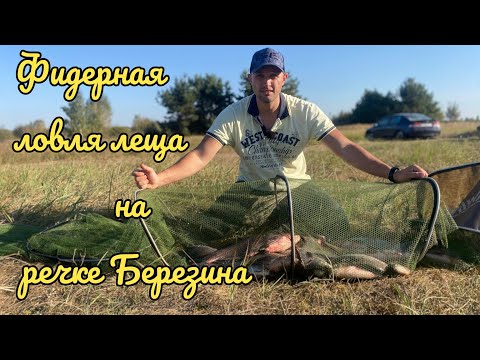 Видео: Ловля леща на реке Березина. Фидерная рыбалка на реке. Березина радует.