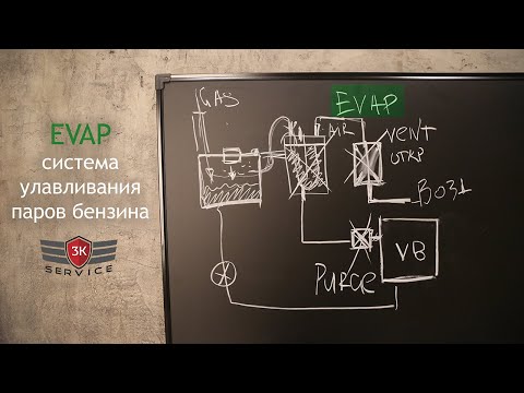 Видео: EVAP - что это, как работает, почему нельзя отключать
