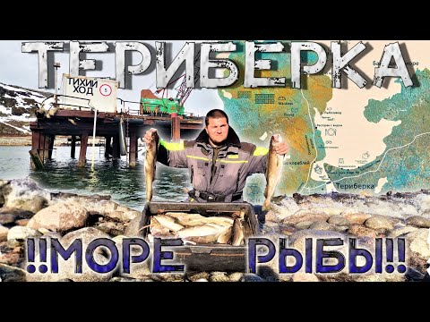 Видео: ТЕРИБЕРКА РЫБАЛКА НА КРАЮ ЗЕМЛИ