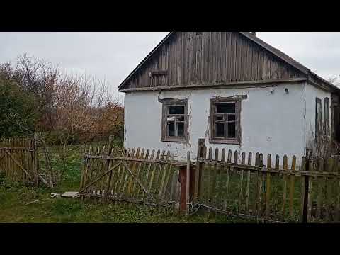 Видео: пасiка сусiда на лижаках