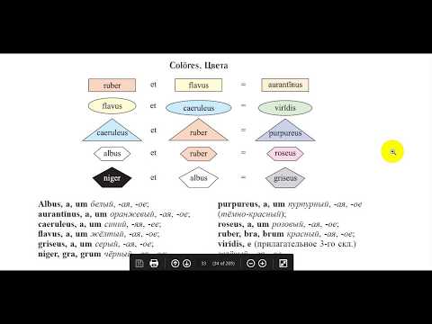 Видео: Латинское прилагательное, часть 2