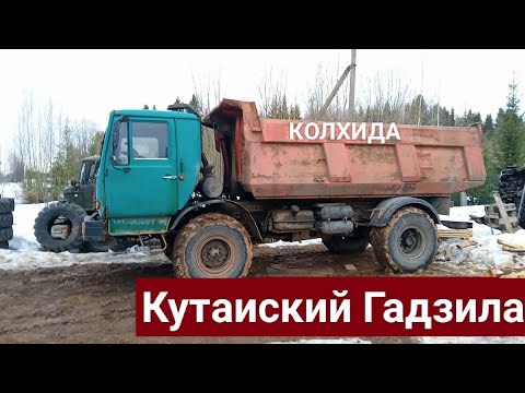 Видео: Обзор Колхида или Кутаиский Гадзила!