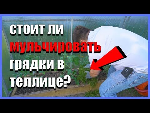 Видео: Как мульчировать грядки в теплице. Мульчирование свежей травой.