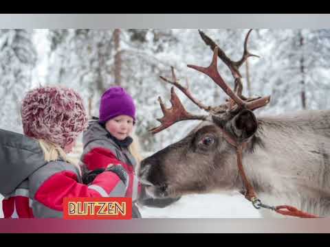 Видео: ИМЕНА ОЛЕНЕЙ САНТА -КЛАУСА
