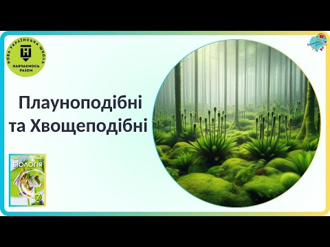 Видео: Плауноподібні та Хвощеподібні