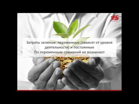 Видео: Вебинар: «Снижение корпоративных затрат: конец безответственности»