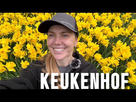 Видео: НИДЕРЛАНДЫ: стоит ли того знаменитый парк цветов Кекенхоф
