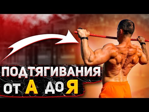 Видео: Подтягивания: Как правильно выстроить систему подходов?