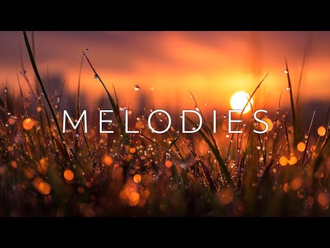 Видео: Ambient Guitar Study Music ~ Безмятежность Осеннего Леса и Мелодии для Глубокой Концентрации