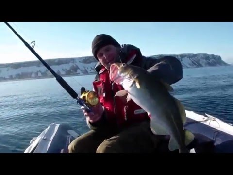 Видео: Открытие сезона морской рыбалки 01 апреля 2016 года  Кильдин Северный! часть 1