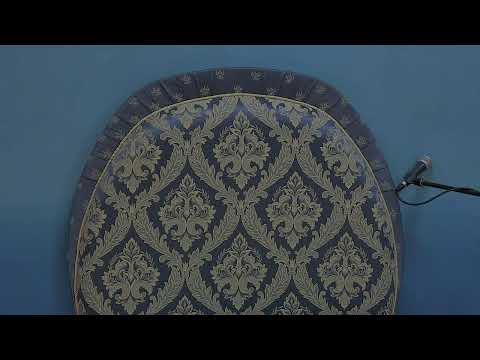 Видео: ЕМ Ядурад дас (ГКГ) - Шримад Бхагаватам 4.29.51 Прямой эфир через restream.su