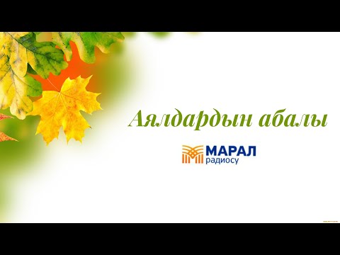 Видео: Аялдардын абалы. Марал Радиосу.