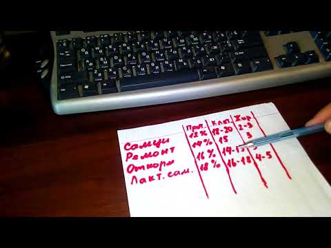 Видео: Кормление кроликов.