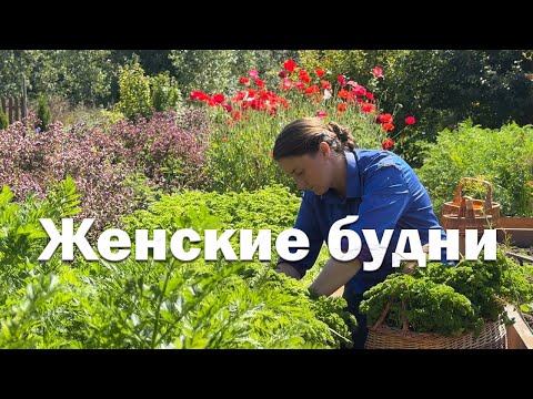 Видео: Итоги лета 2025 // урожай в деревне // первый раз на сцене