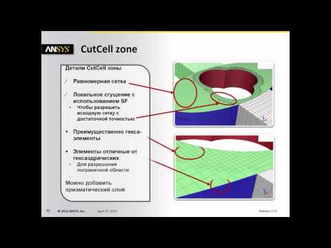 Видео: Применение динамических сеток в ANSYS Fluent