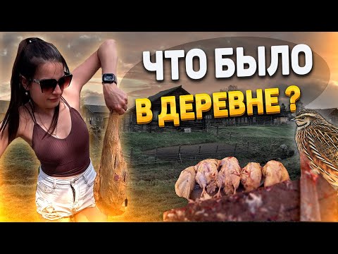 Видео: ЗАРУБИЛ всех ПЕРЕПЕЛОВ для копчения? ПРИГОТОВИЛИ БАРАНИНУ!