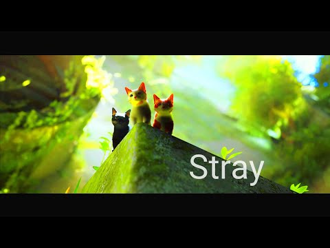 Видео: "Stray" Котики, Прохождение # 1