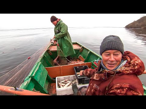 Видео: Рыбное дело. Часть 1 | С полем!