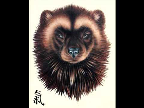 Видео: Притчи  мастера Росомахи