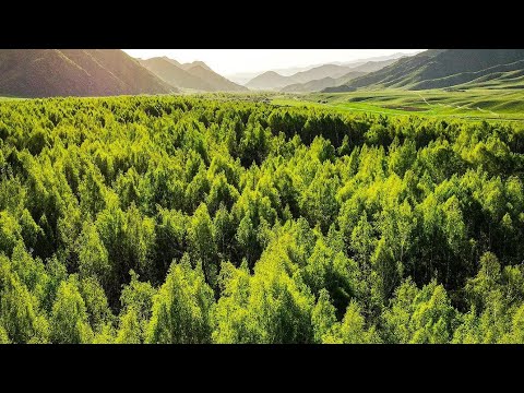 Видео: Талас Копуро -Базар айылы эс алуучу жай, келип эсалгыла#туризм #пейзаж #талас #бишкек #Кыргызстан