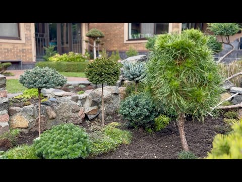 Видео: КАМЕНИСТЫЙ САДИК БЕЗ КАМНЕЙ! НОВЫЙ ОБРАЗ-НОВЫЕ ВОЗМОЖНОСТИ! ЧТО ОСТАЛОСЬ?