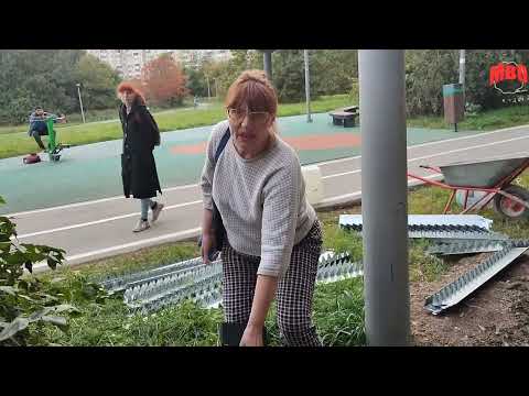 Видео: Опять супостаты, и опять без документов!