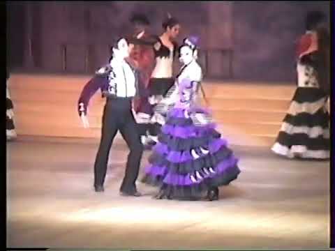 Видео: 29 августа 2025 г.