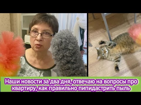 Видео: Наши новости за два дня. Отвечаю на вопросы про квартиру, как правильно пипидастрить пыль и кота
