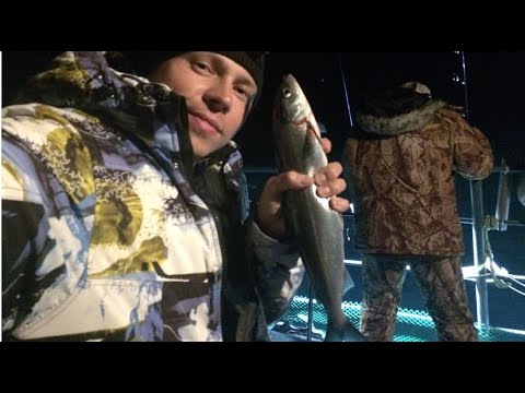 Видео: ЗАПРЕЩЕННАЯ РЫБАЛКА - БАЙКАЛЬСКИЙ ОМУЛЬ НА ФАРУ С КОРАБЛЯ