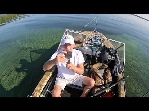 Видео: рыбалка на сома в Саратове 13.08.2022.  жор сома начался