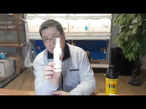 Видео: Канарейки- 3 часть. Обработка Фронтлайном птицы, для профилактики. Подготовка к Выставке.