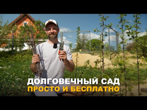 Видео: ДВА ПРОСТЫХ СПОСОБА ПРИВИВКИ ПЛОДОВЫХ ДЕРЕВЬЕВ. Прививка плодовых деревьев в расщеп и за кору.