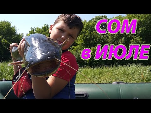 Видео: Ловля Сома летом. Catfish