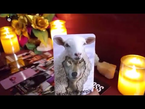 Видео: Кто-то думал, что с тобой будет легко играть в игры... они ошибались.