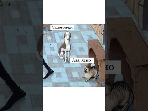 Видео: Мем про собак на тусовке