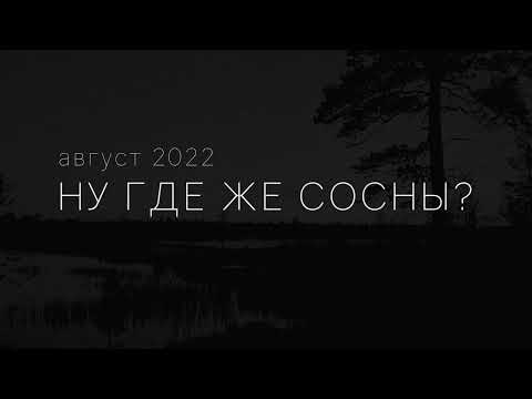 Видео: 2022 Печенга, Титовка, Западная Лица