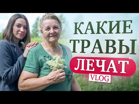 Видео: Эти доступные ТРАВЫ лечат и успокаивают l МУДРОСТЬ ПРЕДКОВ
