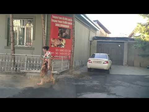 Видео: Ташкент, Яшнабадский р-н, бывш Хамзинский р-н, Лисунова, Дубовой, Алимкент,