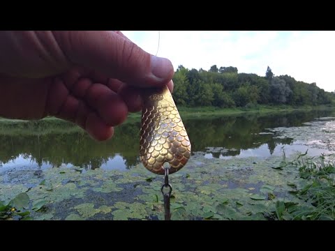 Видео: Эта БЛЕСНА нравится ЩУКАМ! Рыбалка на спиннинг с берега! Спиннинг 2021!