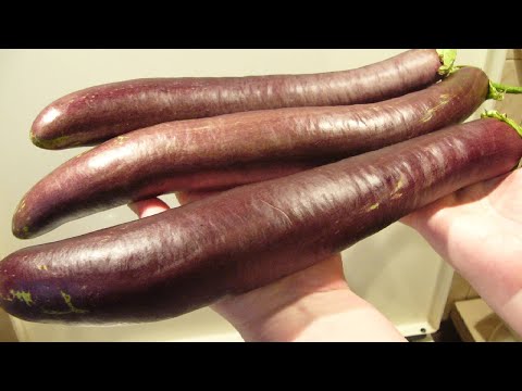 Видео: Баклажаны  Обзор