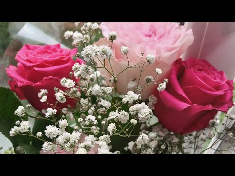 Видео: Уютный Влог🍁Валбериз/Что в сумке? #pink #relax 