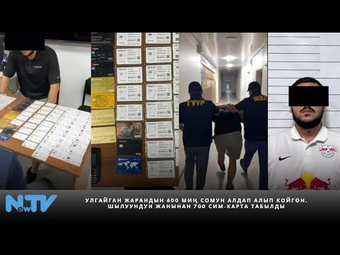 Видео: Улгайган жарандын 600 миң сомун алдап алып койгон. Шылуундун жанынан 700 сим-карта табылды