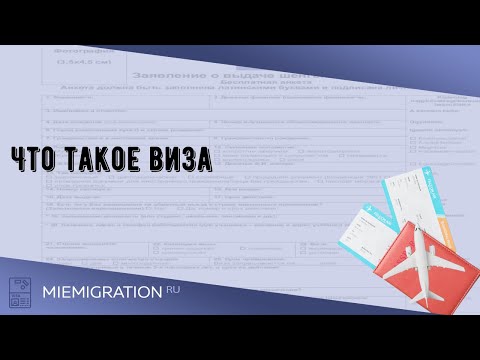 Видео: Что такое виза