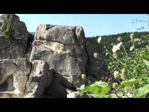 Видео: Тракийско наследство