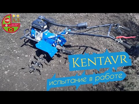 Видео: Испытание нового мотоблока "Кентавр" 7 л.с