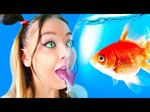 Видео: Если бы люди вели себя как кошки | Веселые особенности животных — Истории из жизни от Ла-Ла Лайф