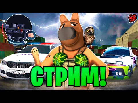 Видео: ПОКУПАЕМ БИЗНЕС - BLACK RUSSIA! #shorts