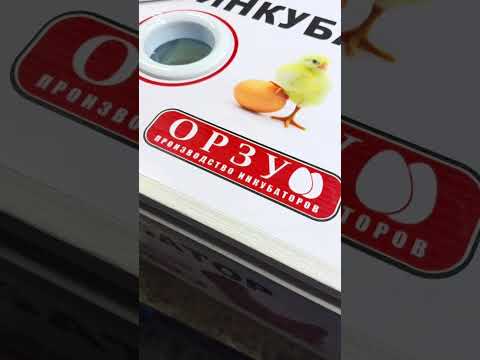 Видео: Инкубатор 100 талик 